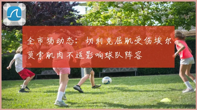 全市场动态：切利克屈肌受伤埃尔莫索肌肉不适影响球队阵容